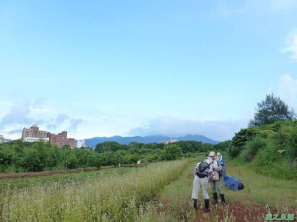 後洲子山20130707 (17)