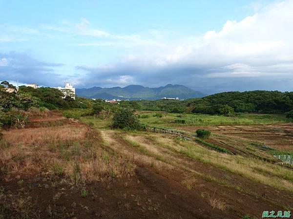 後洲子山20130707 (85)