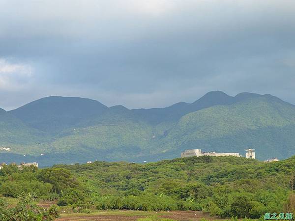 後洲子山20130707 (89)