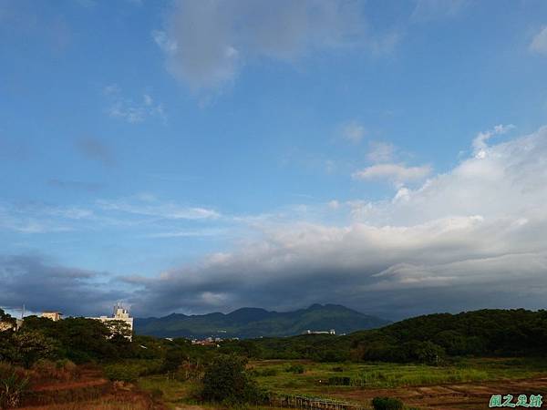 後洲子山20130707 (91)