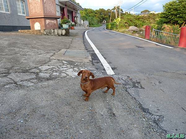 後洲子山20130707 (94)