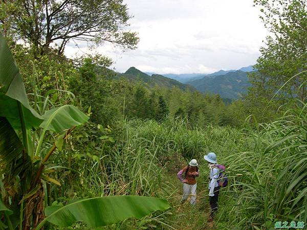 眺望五指山20050922_2