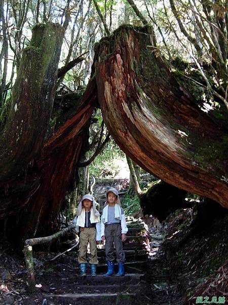 多門山20070707(38)