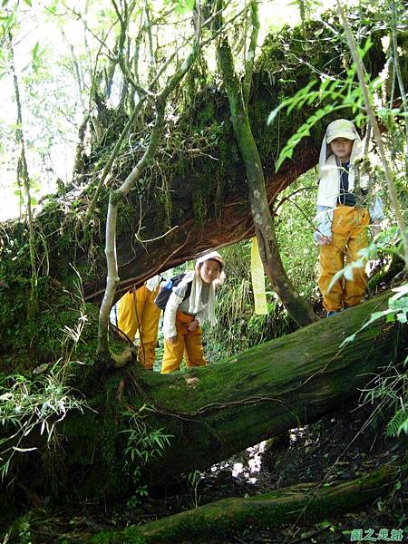 多門山20070707(55)