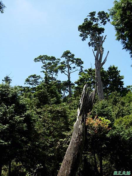 多門山20070707(64)