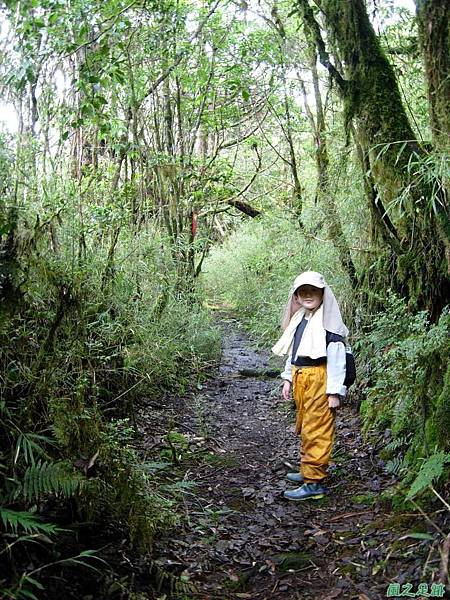 多門山20070707(98)