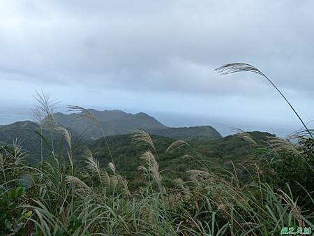 南雅山環行20131108(44)