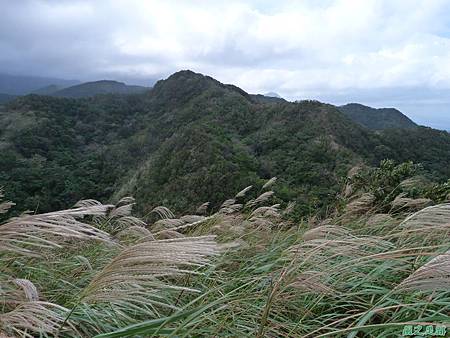 南雅山環行20131108(54)