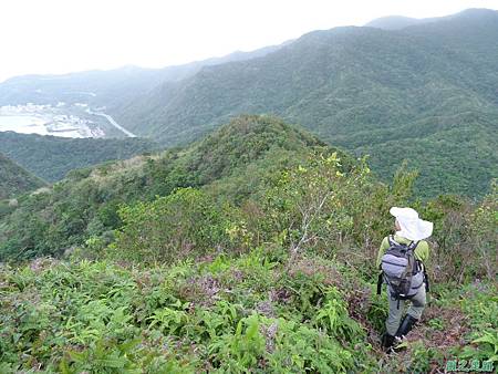 南雅山環行20131108(91)