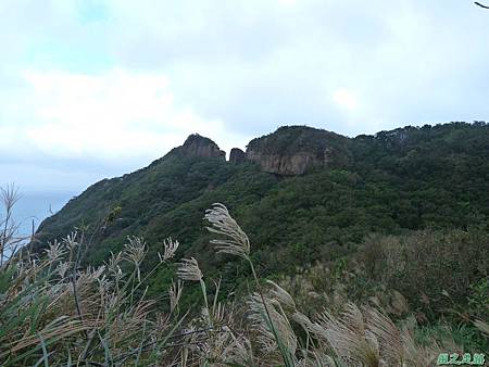 南雅山環行20131108(126).JPG