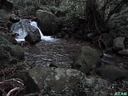 南雅山環行20131108(254)