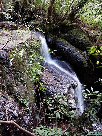 樂佩山20061028(27)