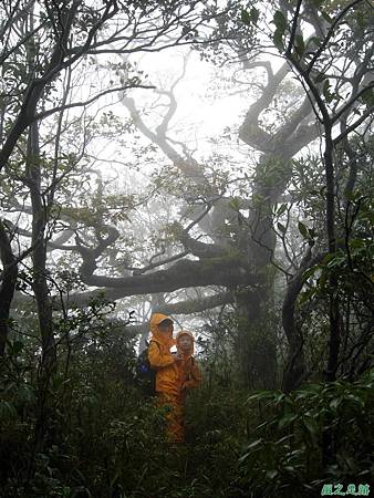 樂佩山20061028(76)