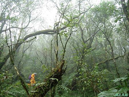 樂佩山20061028(134)