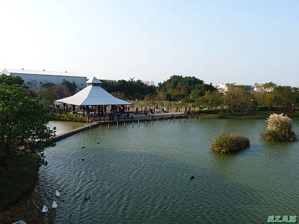 八德埤塘生態公園(43)