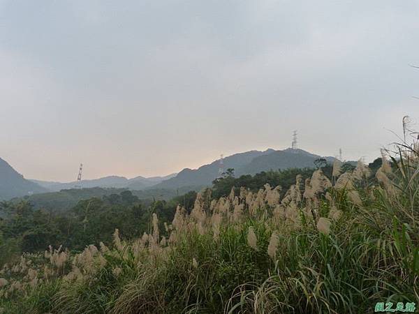 赤山2014018(20)