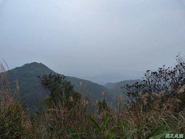 赤山2014018(131)