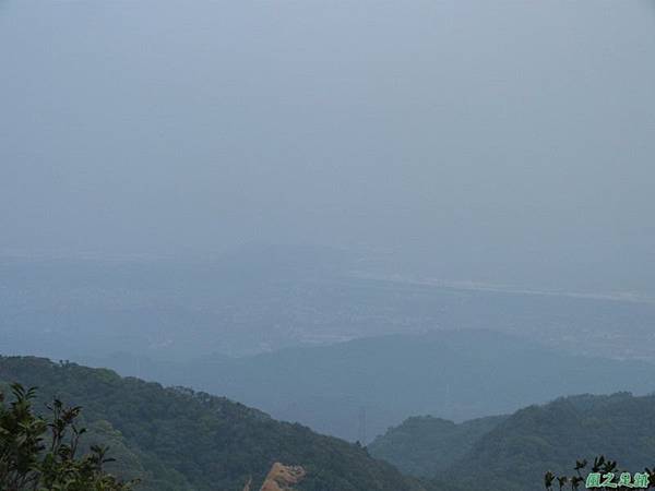 赤山2014018(137)