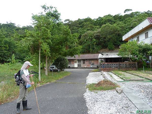 茅埔圍山20130803(12)