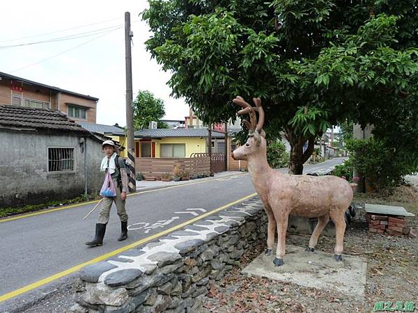 茅埔圍山20130803(21)