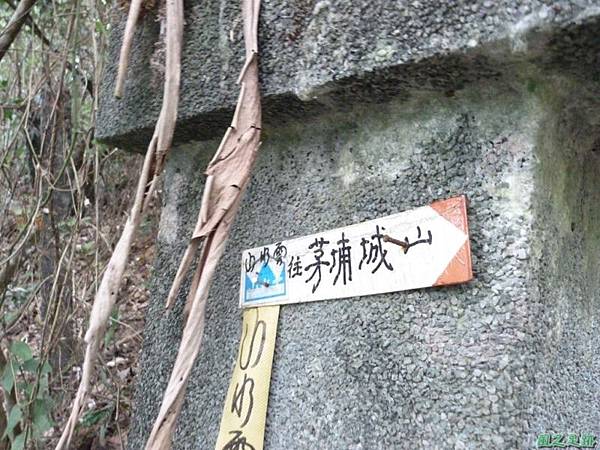 茅埔圍山20130803(40)