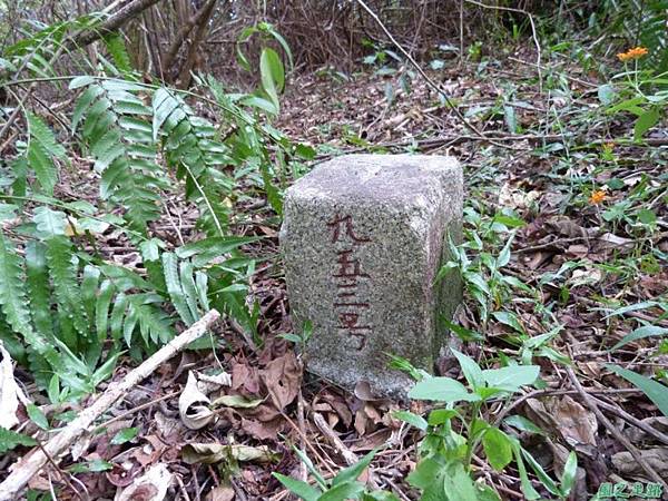 茅埔圍山20130803(51)