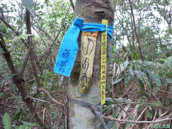 茅埔圍山20130803(55)