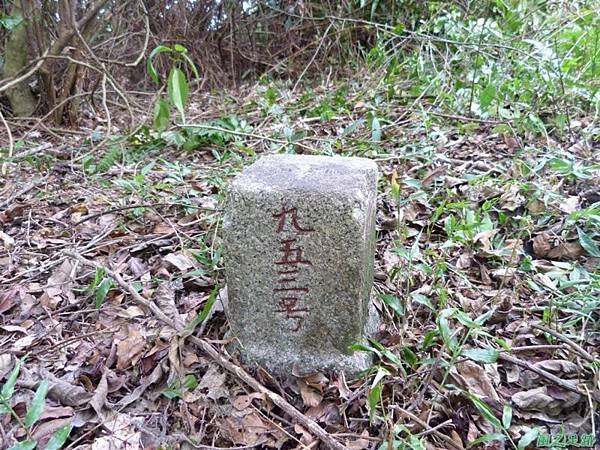 茅埔圍山20130803(56)