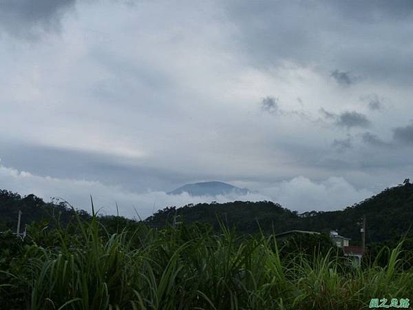 茅埔圍山20130803(100)