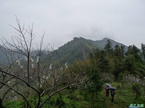 細道邦山20100206(14)