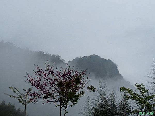 細道邦山20100206(1)
