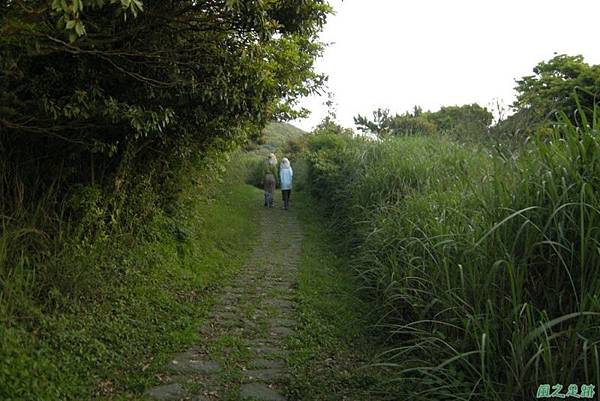 20110424陽明山竹雞(3)