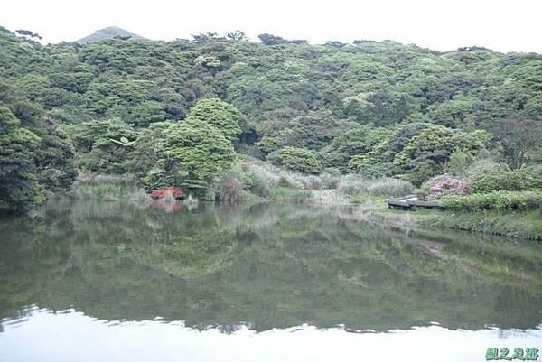 20110424陽明山竹雞(7)