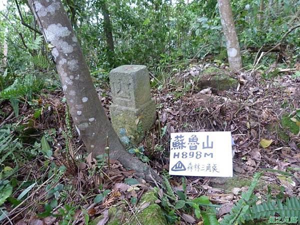 蘇魯山20140329 (7)