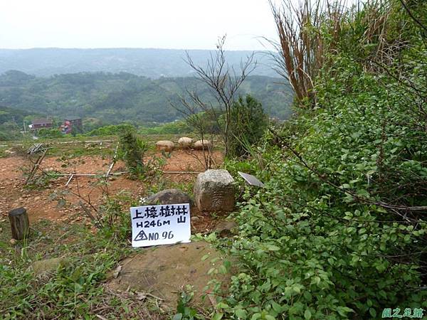 20140404上樟樹林山(5)