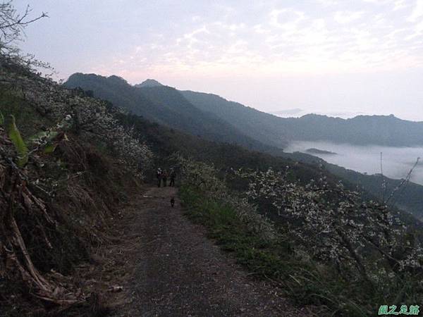 20140208千兩山主峰(7)