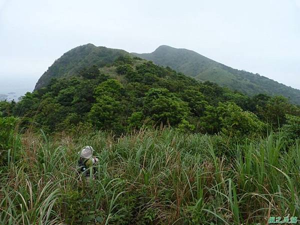 東北角山行20140419(216)