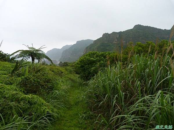 東北角山行20140419(246)