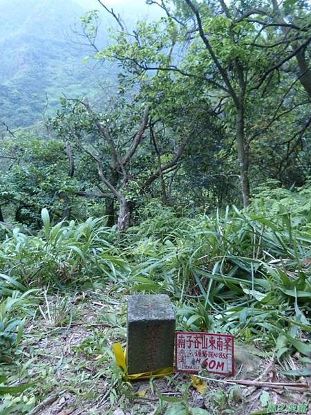 東北角山行20140419(277)