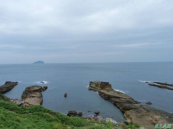 東北角野百合20140503(9)