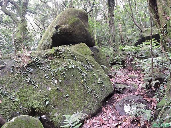 小觀音山環行20140524(23)