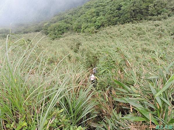 小觀音山環行20140524(31)