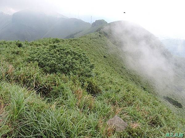 小觀音山環行20140524(111)