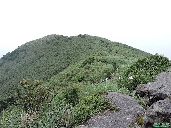 小觀音山環行20140524(122)