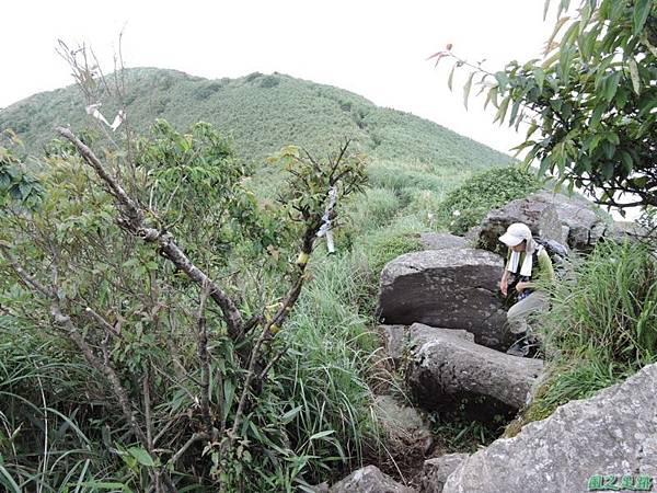 小觀音山環行20140524(125)