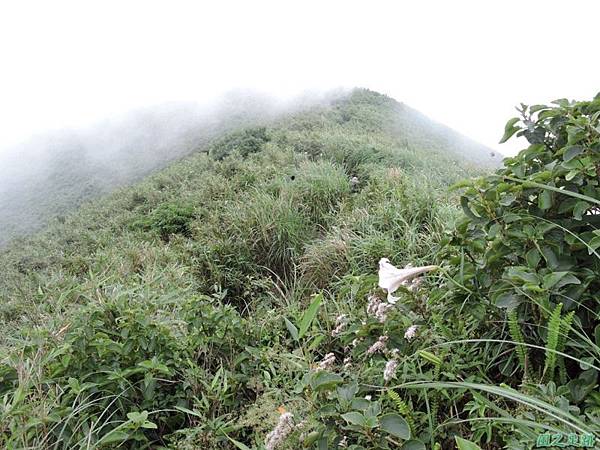 小觀音山環行20140524(152)