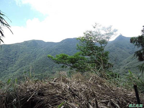 小觀音山環行20140524(164)