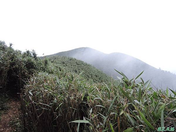 小觀音山環行20140524(185)