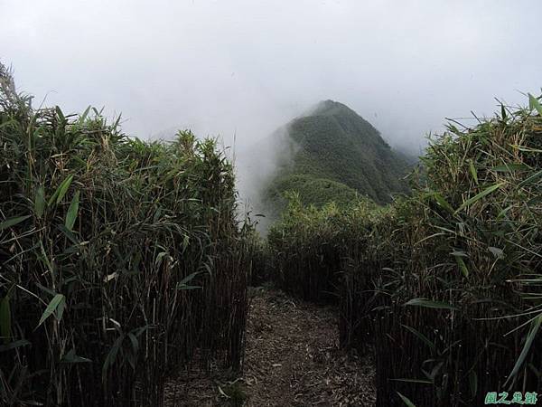 小觀音山環行20140524(190)