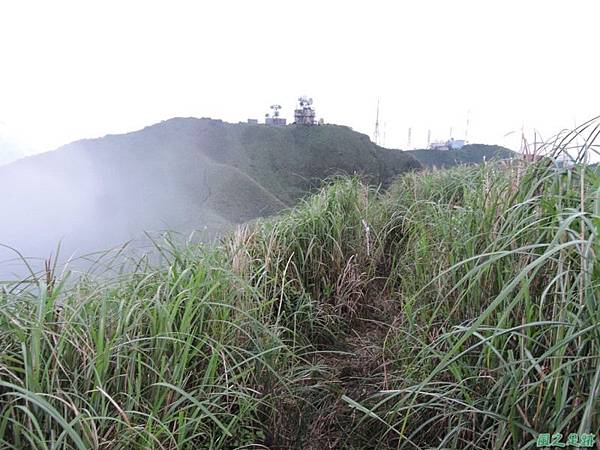 小觀音山環行20140524(216)